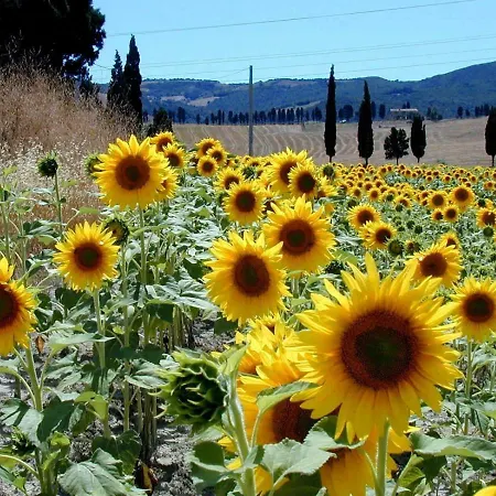 Διαμέρισμα Pia. Tuoro sul Trasimeno